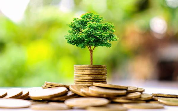Banque éthique, verte, écologique : que savoir sur cet établissement ?