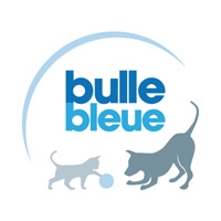 Bulle Bleue : guide complet sur le spécialiste de l'assurance animaux