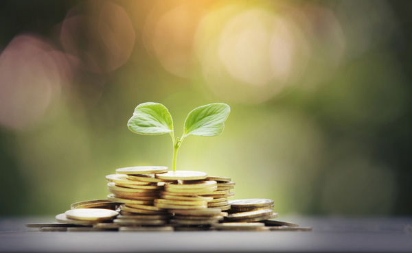 Livret de développement durable et solidaire : ce qu'il faut savoir